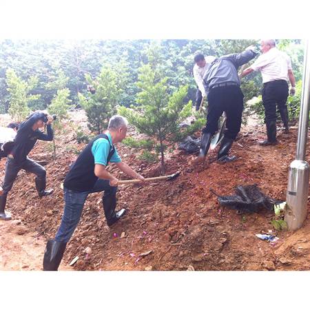2013.3.21，禅城台商联谊会组织全体会员企业到石湾公园内开展义务植树活动
